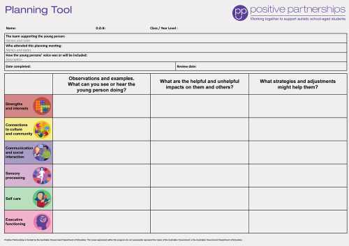 Positive Partnerships Planning Tool example