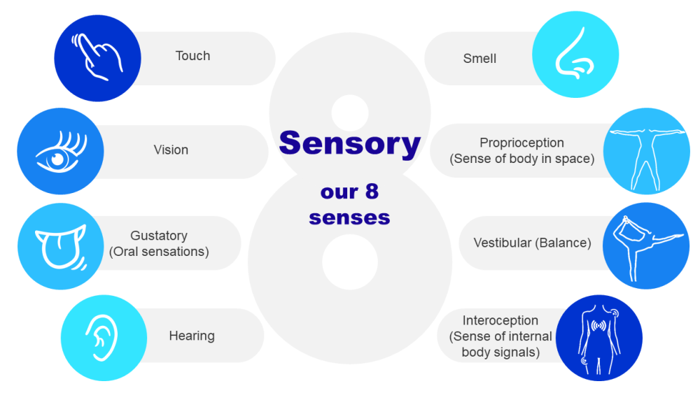 Diagram describing eight senses
